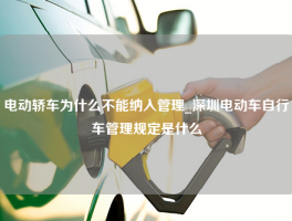 电动轿车为什么不能纳入管理_深圳电动车自行车管理规定是什么