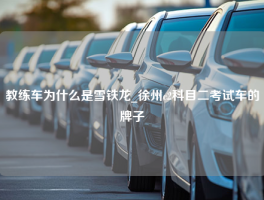 教练车为什么是雪铁龙_徐州c2科目二考试车的牌子