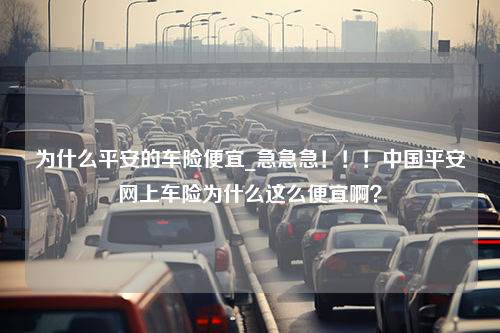 为什么平安的车险便宜_急急急！！！中国平安网上车险为什么这么便宜啊？