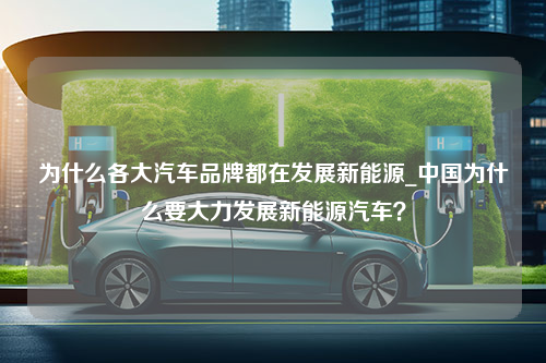 为什么各大汽车品牌都在发展新能源_中国为什么要大力发展新能源汽车？